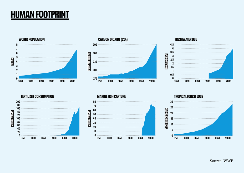 consequences of human overpopulation