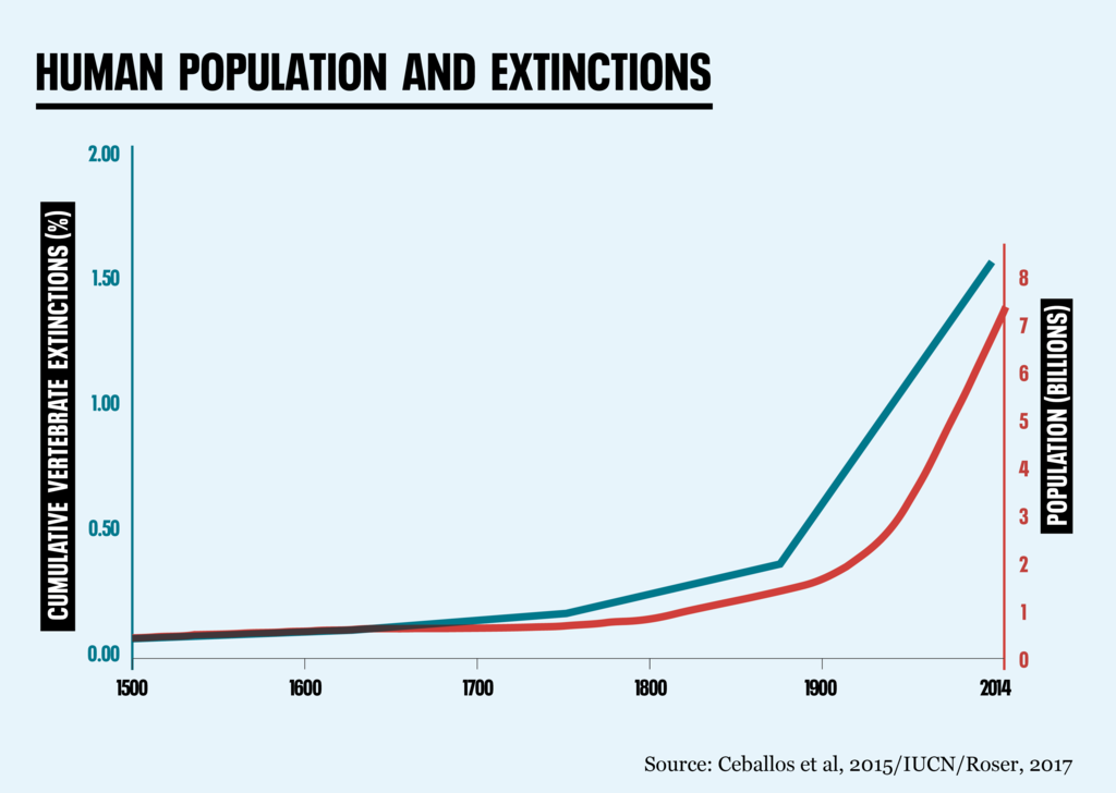 Graphic - human population and extinctions