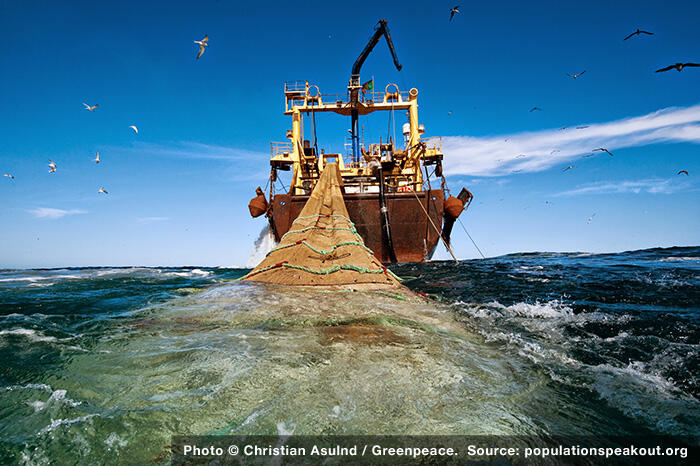 Natures-Unraveling-Ship-Dragging-Net