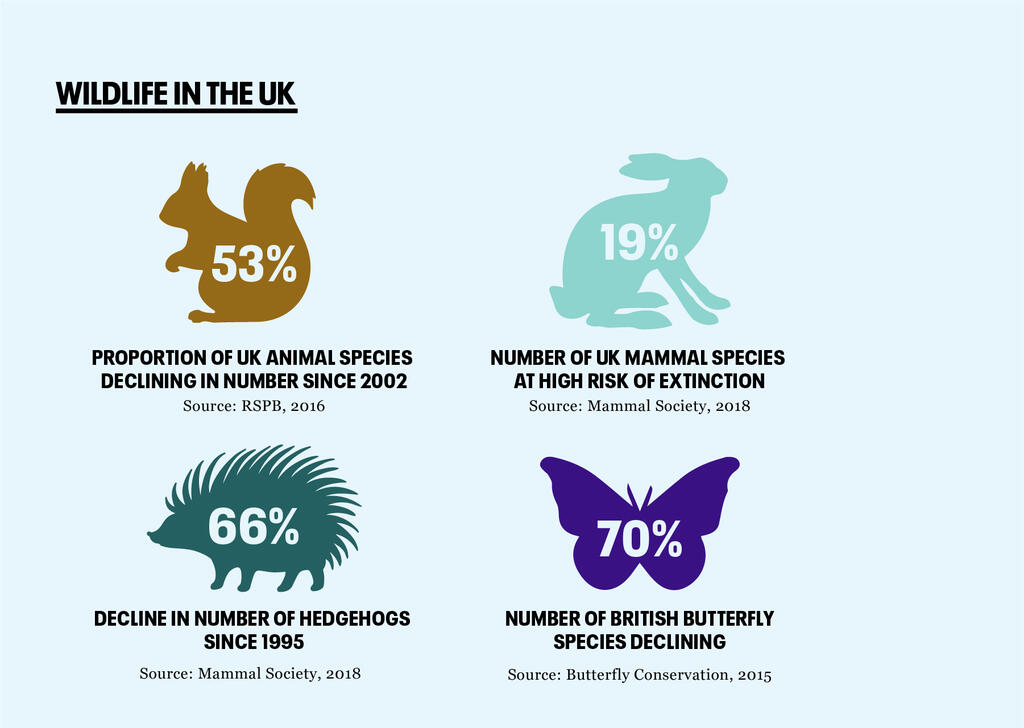 UK-wildlife-graphic-no-logo