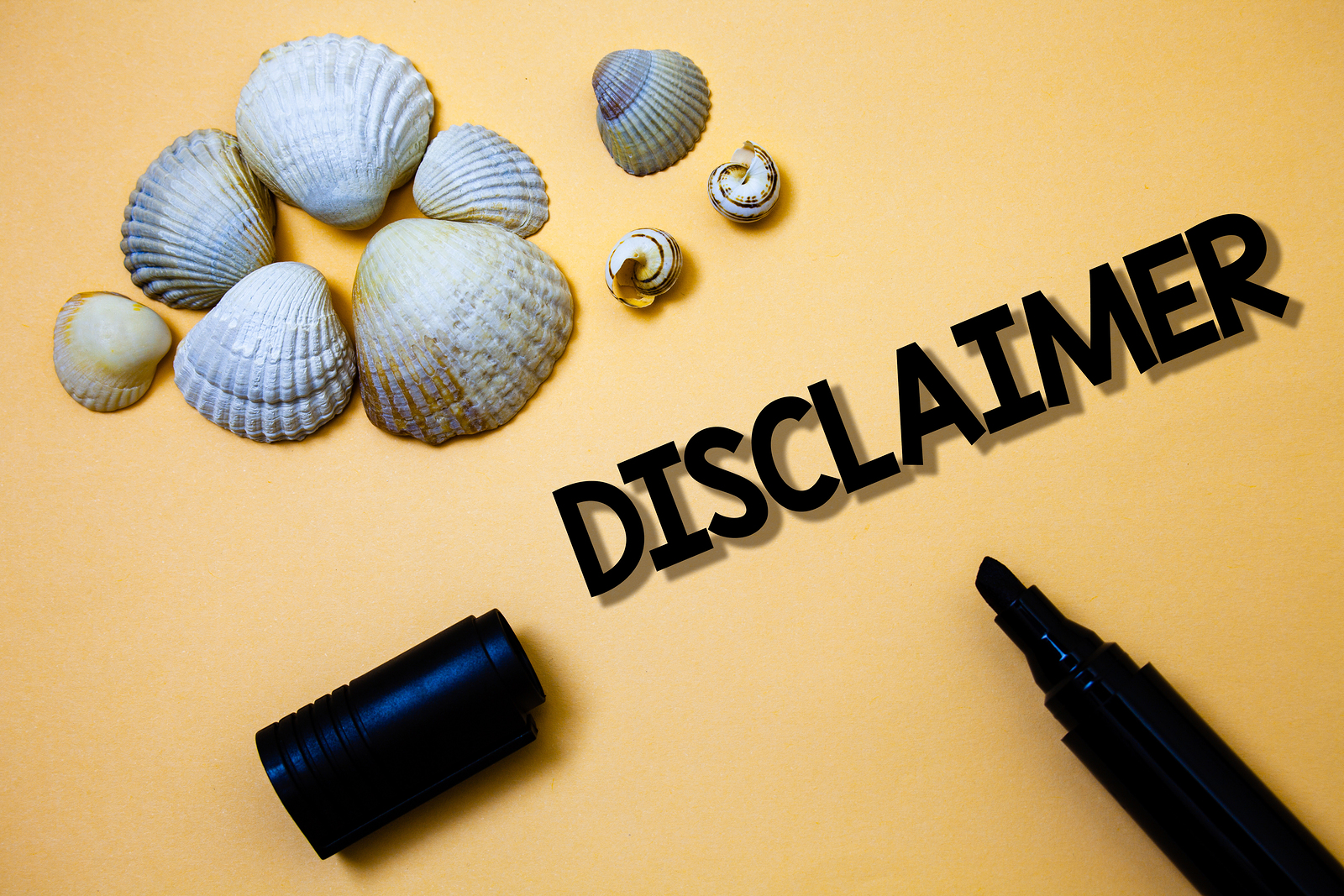 Terms of use Disclaimer banner