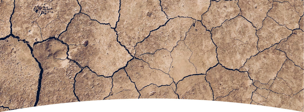 Cracked earth banner