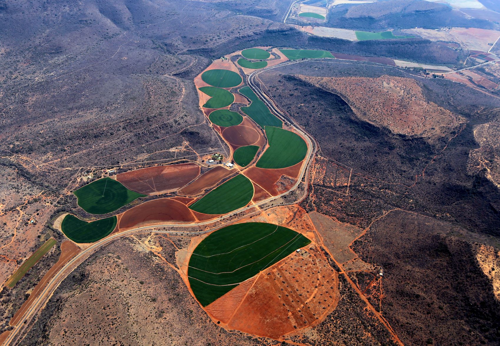 Crops in South Africa