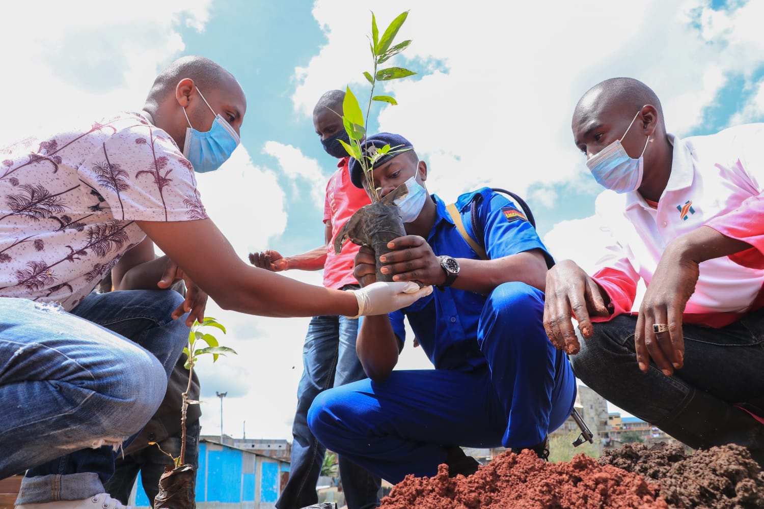 Komb Green tree-planting.jpeg