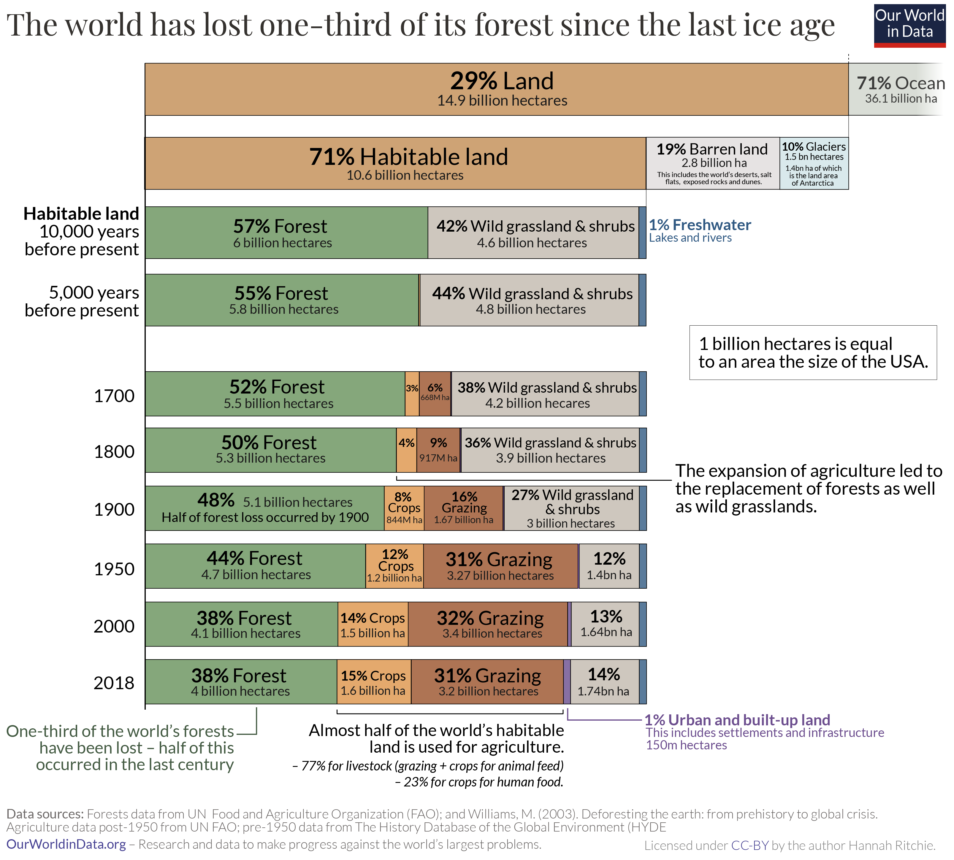 Forest loss