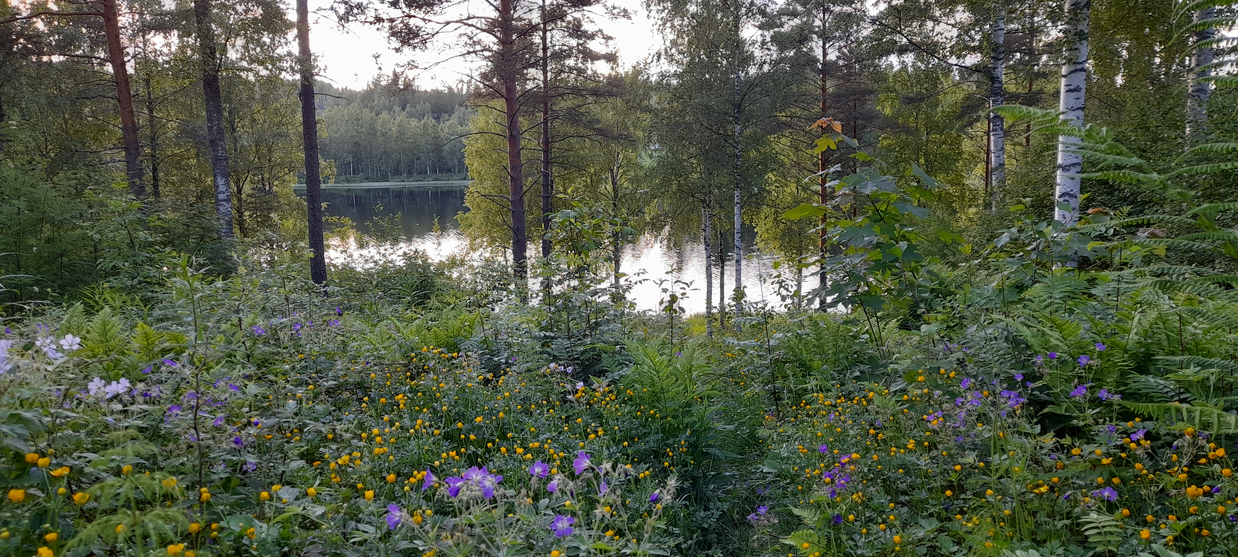 Lake in Finland