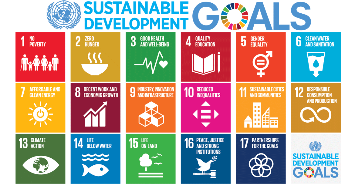 Sdgs Graphic