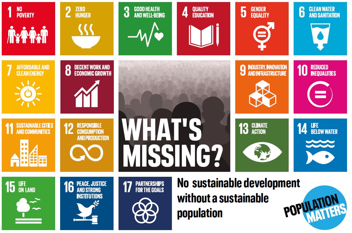 SDGs what's missing