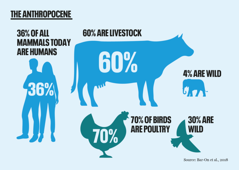 To save biodiversity, we must transform our food systems - Population ...