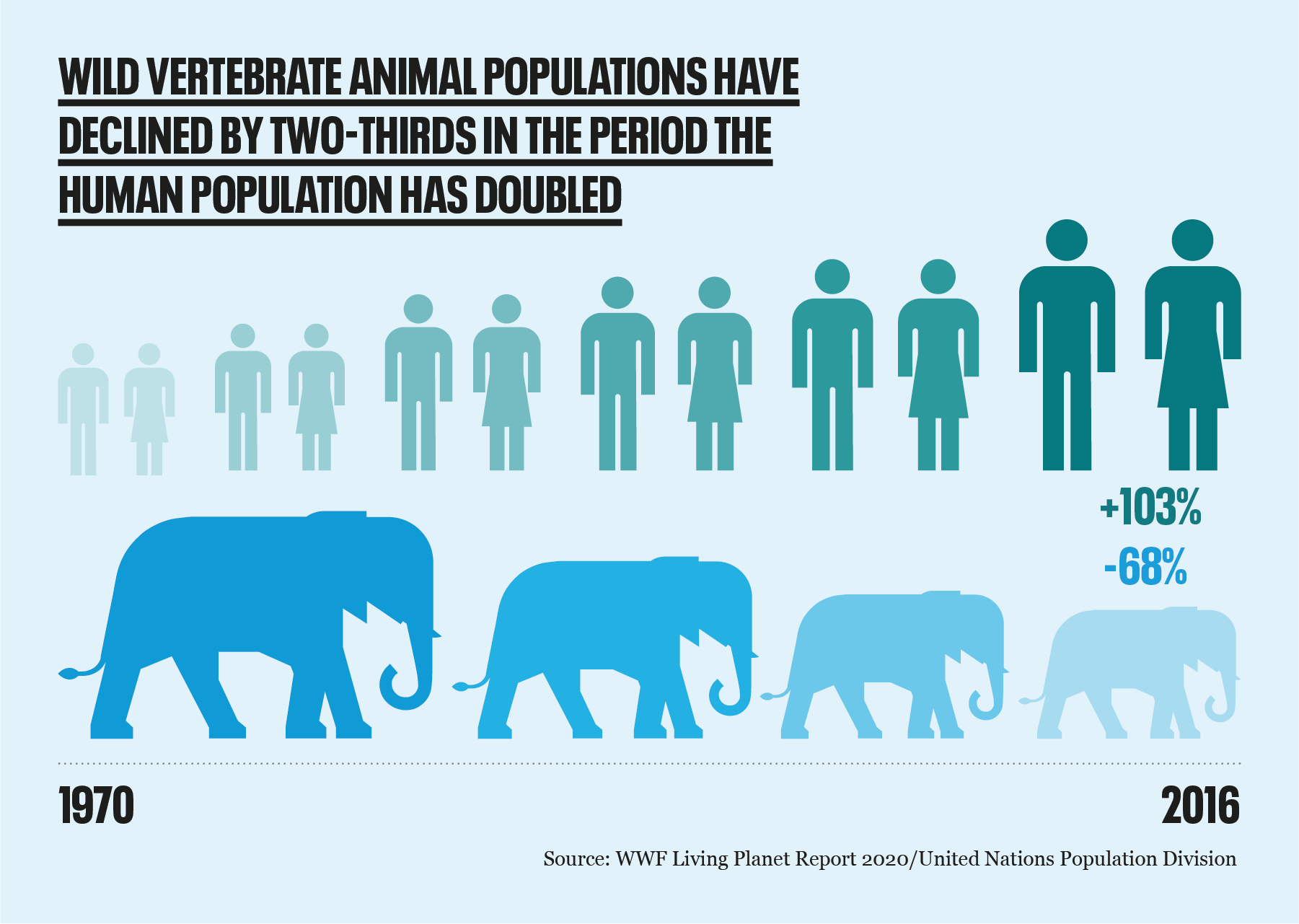 Vertebrate wildlife population decline since 1970