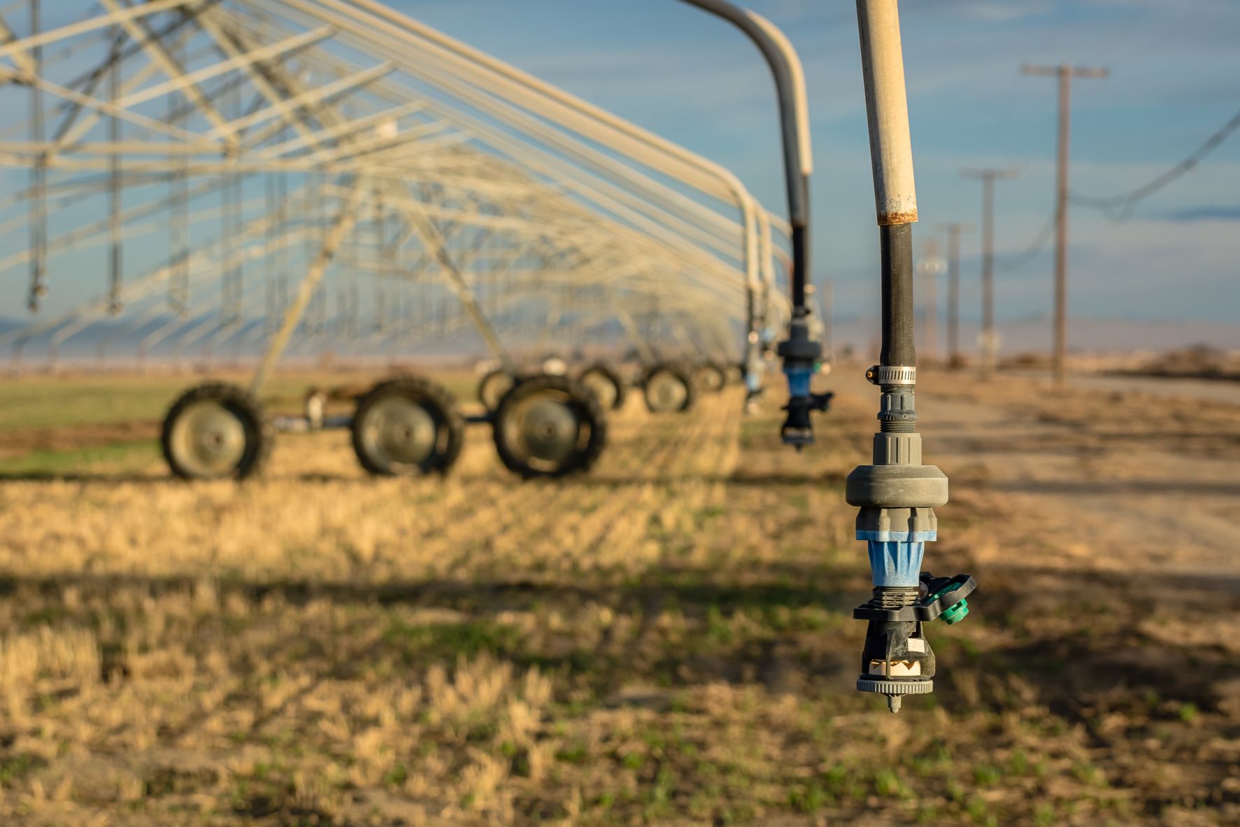 Crop irrigation