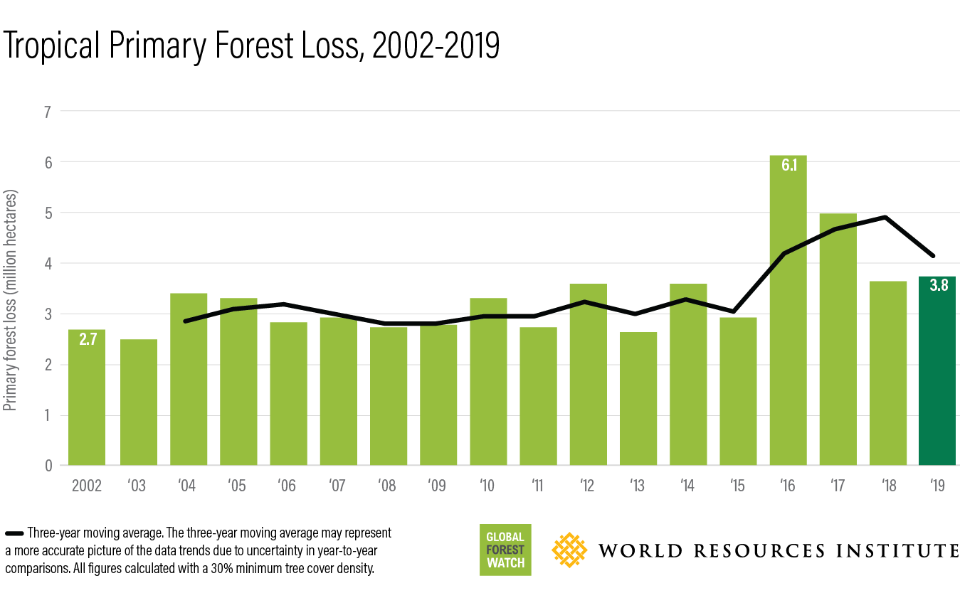 Forest loss