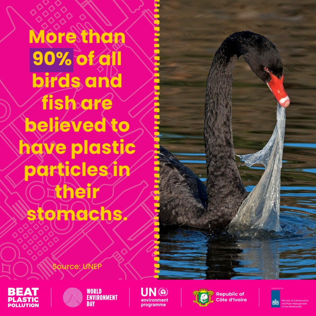 Plastic: new global treaty brings hope - Population Matters