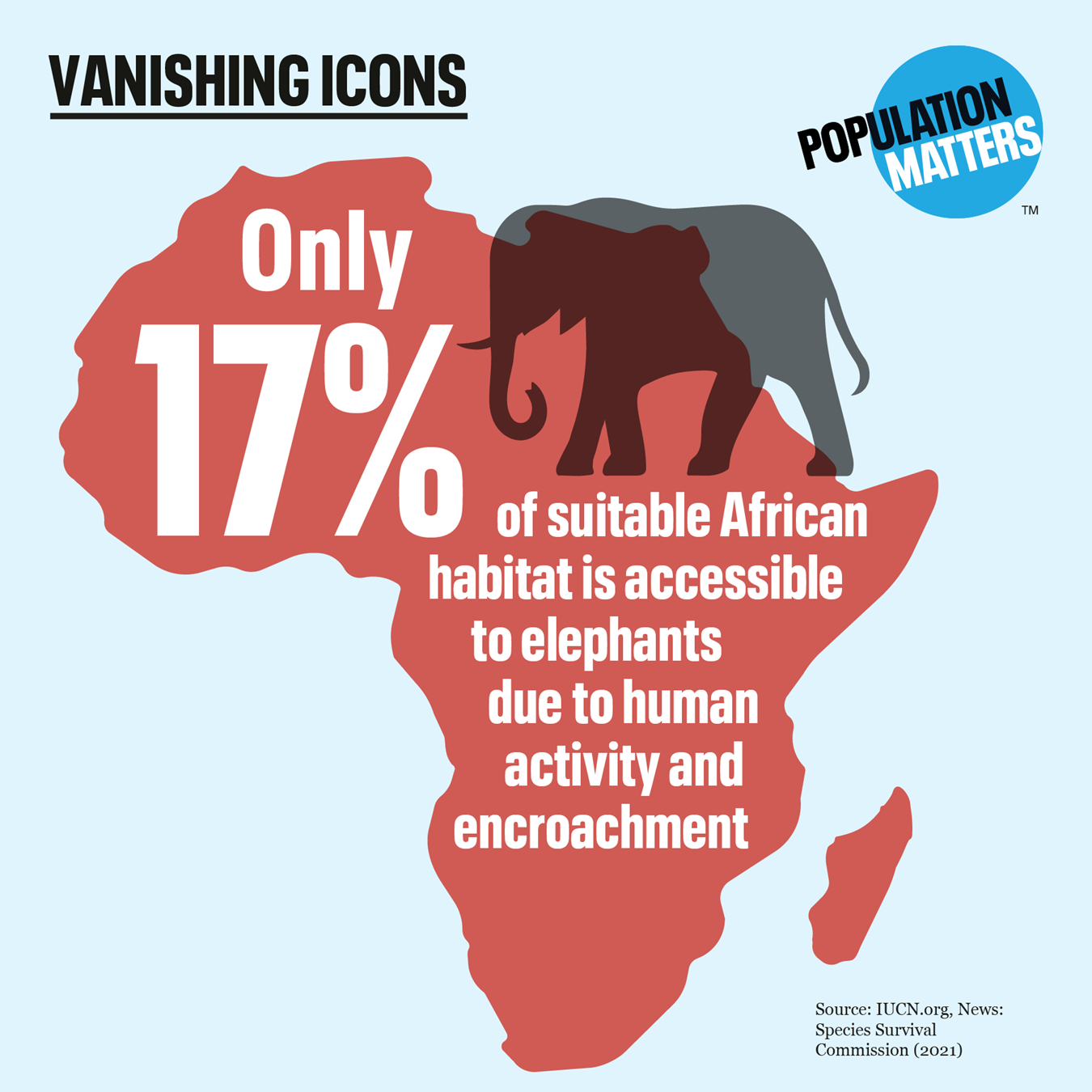 Vanishing Icons: Endangered Elephants