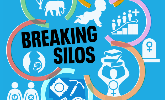 Breaking Silos report summary