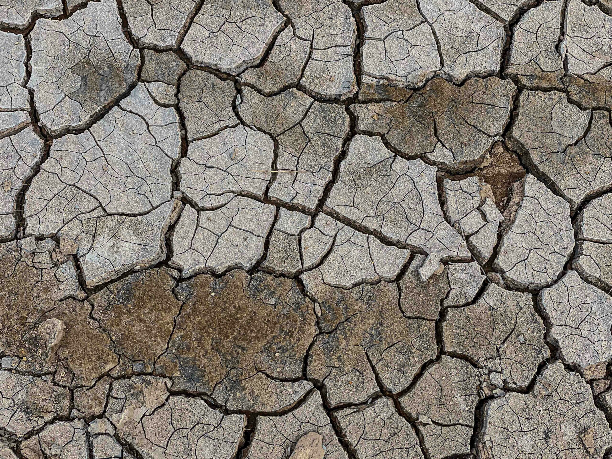 Parched Earth