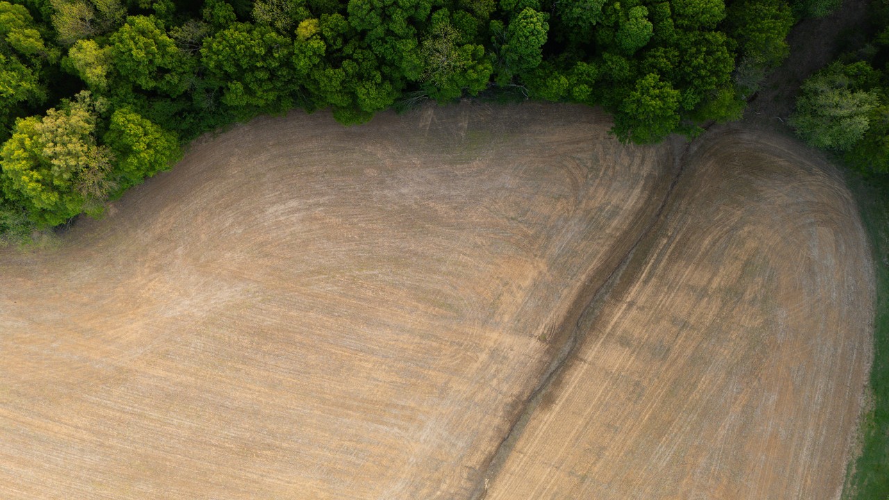 An aerial view shows a ploughed field directly beside dense forest.